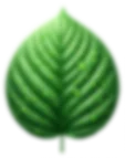 Baba Go Green